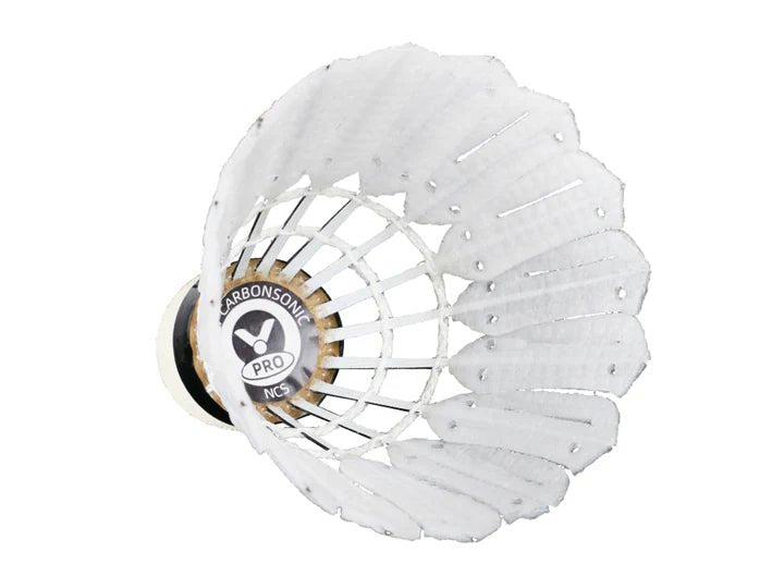 Victor USA Victor NEW CARBONSONIC PRO 12 PCS - B&T Racket